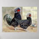 Search for vintage kitchen posters Country