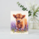 Search for scottish highland cow postcards Cute