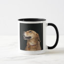 Search for golden lab mugs Dogs