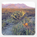 Search for big bend stickers Scenic