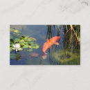 Search for pond business cards Lotus