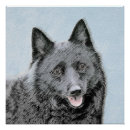 Search for schipperke posters Cute