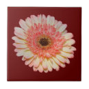Search for single tiles Floral