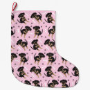 Search for paws christmas stockings Dog bone