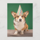 Search for cute corgi birthday cards Pet