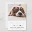 Search for adding Cute