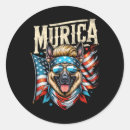 Search for mini american shepherd stickers Stars and stripes
