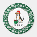 Search for triing magnets Santa