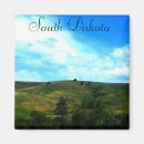 Search for south magnets Landscape