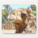 Search for camel mousepads Animal