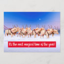Search for reindeer invitations Animal