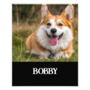 Search for cute corgi art Dog