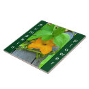 Search for vines tiles Summer