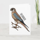 Search for kestrel cards Falcon