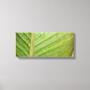 Search for drop leafs art Leaves