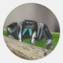 Search for jacks stickers For kids