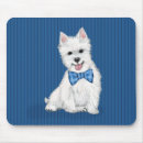 Search for west highland white terrier Pets