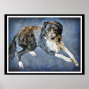 Search for labradoodles posters Cute
