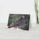 Search for buzzard cards Happy