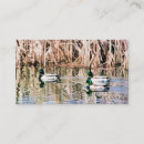 Search for duck business cards Cute