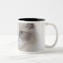 Search for cat computer mugs Feline