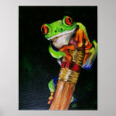 Search for red eye posters Red eyed tree frog