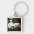 Search for bird nest key rings Wildlife