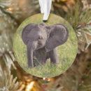 Search for safari animal christmas tree decorations Baby elephant