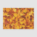 Search for autumn leaves tissue paper Seasons