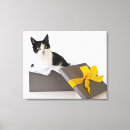 Search for studio shot canvas prints Surprise