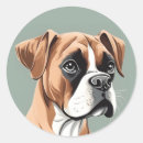 Search for boxer lover stickers Cute