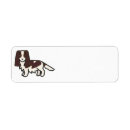 Search for spaniel return address labels English springer spaniel