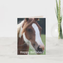 Search for horse crazy cards Equestrian