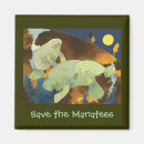 Search for manatee magnets Endangered