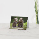 Search for gossiping cards Teenager