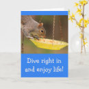 Search for snacking postcards Wildlife