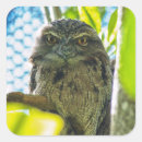 Search for black bird stickers Leaves