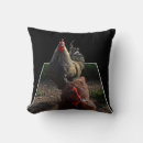 Search for hens cushions Rooster
