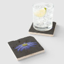 Search for daisy coasters Gerbera