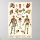 Search for vintage medical medicine posters Antique