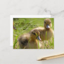 Search for a to cry on postcards Quote
