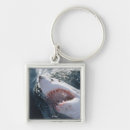 Search for amos key rings Body