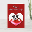 Search for boston terrier valentines day cards Valentine's