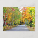 Search for fall colour postcards Autumn colours