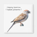 Search for sparrow magnets Nature
