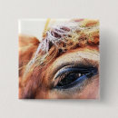 Search for spirited badges Horse