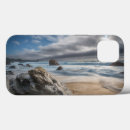 Search for coastline cases Big sur