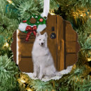 Search for samoyed christmas cards Cute