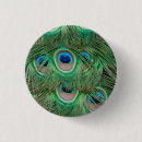 Search for peacock badges Feathers