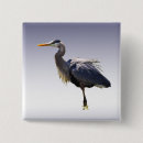 Search for water bird badges Birds